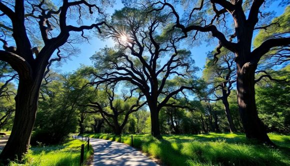 Natural Retreats in Santa Barbara: total Immersion Experience